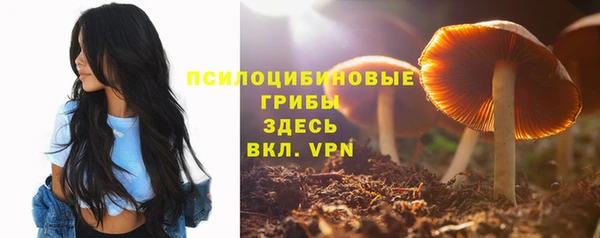 PSILOCYBIN Баксан